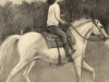 Riding Free